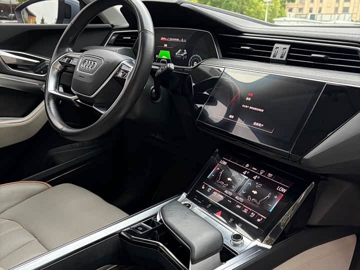 Audi e-tron 50 quattro премиум — фото 8