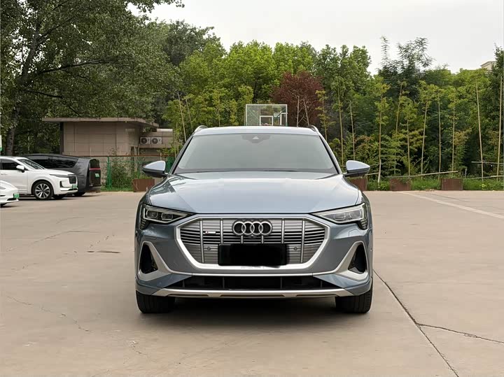 Audi e-tron 50 quattro премиум — фото 2