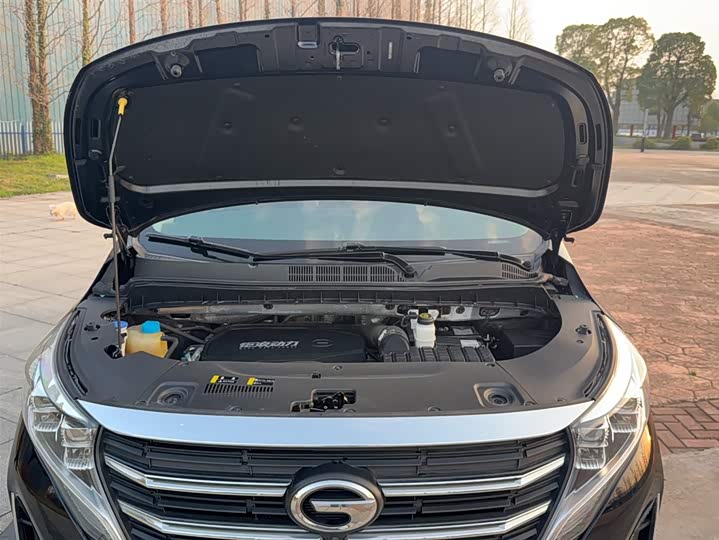 Trumpchi M8 2021 390 T — фото 10