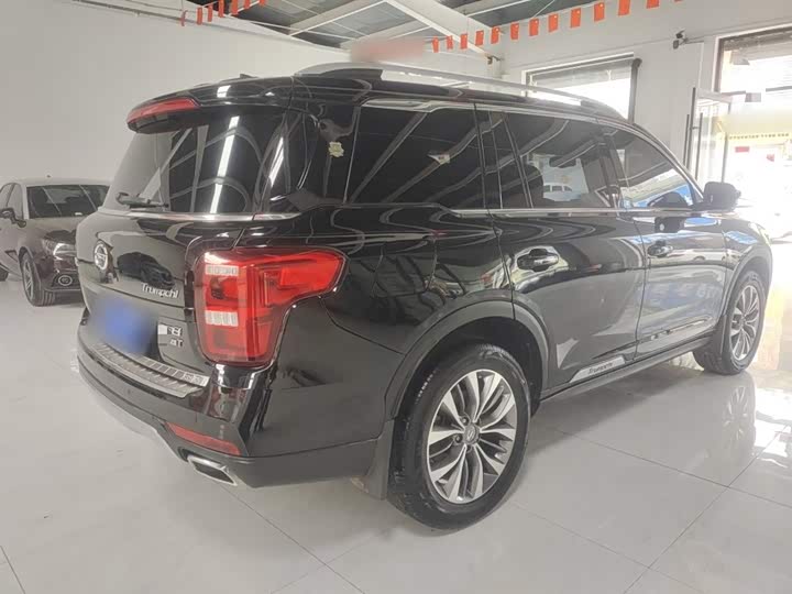 Trumpchi GS8 2017 320 T 2 WD ( ) — фото 5
