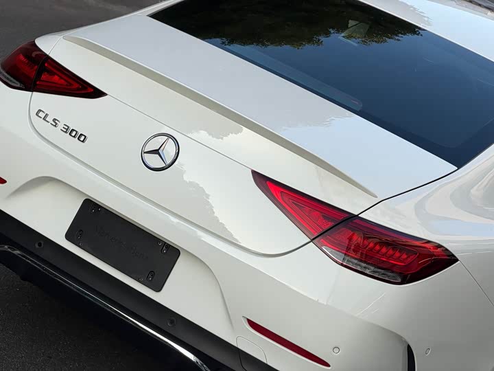 Mercedes-Benz CLS 2023 CLS 300 Luxury — фото 4