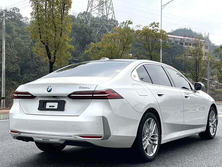 BMW 5 Series 525Li люкс-пакет — фото 8