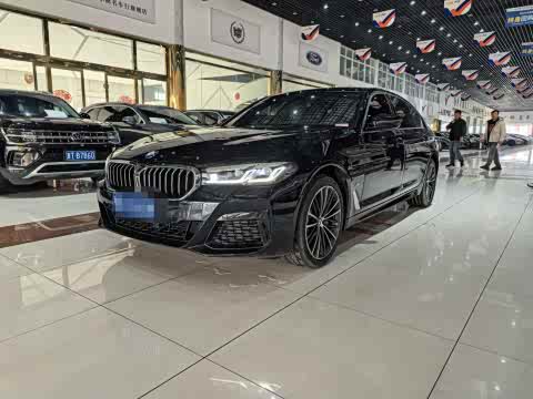 BMW 5-Series 2023 530 Li Leading M — фото 10