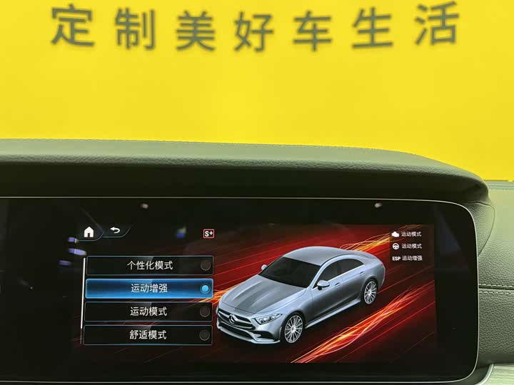 Mercedes-Benz CLS 2021 CLS 300 Luxury — фото 18