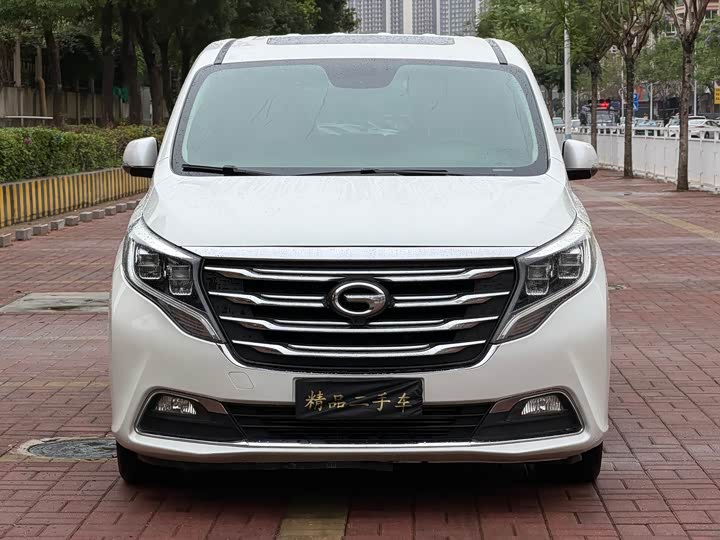 Trumpchi M8 2018 320 T — фото 2