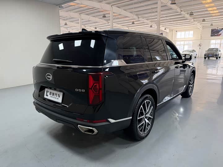 Trumpchi GS8 2022 2.0 TGDI 2 WD ( ) — фото 4