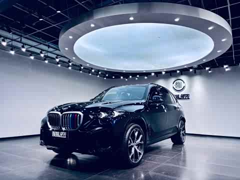 BMW X5 2023 x Drive 30 Li M — фото 14