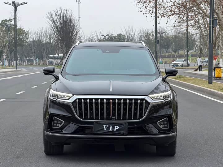 Hongqi HS5 2023 2.0 T 4 WD Pro — фото 2