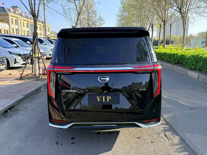 Trumpchi M8 2024 400 T — фото 8