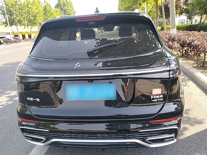 Hongqi HS5 2023 2.0 T Pro — фото 6