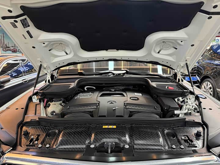 Maybach GLS 2021 GLS 600 4 MATIC — фото 18
