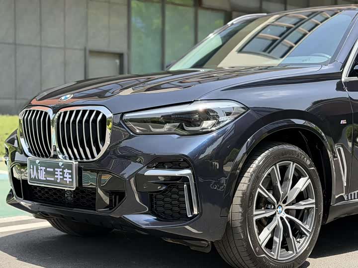 BMW X5 2022 x Drive 30 Li M — фото 9