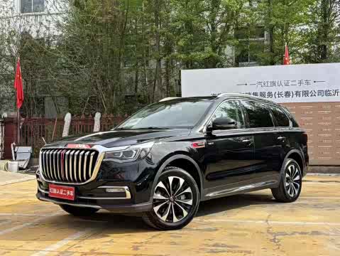 Hongqi HS7 2022 3.0 T AT 4 WD — фото 19