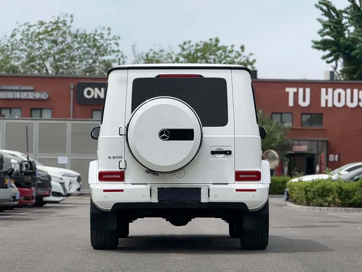 Mercedes-Benz G-Class 2019 G 500 — фото 16