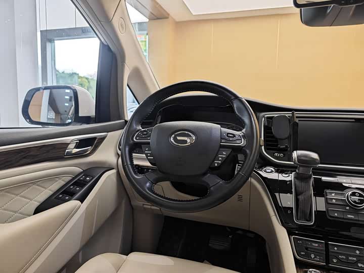 Trumpchi M8 2018 320 T — фото 15
