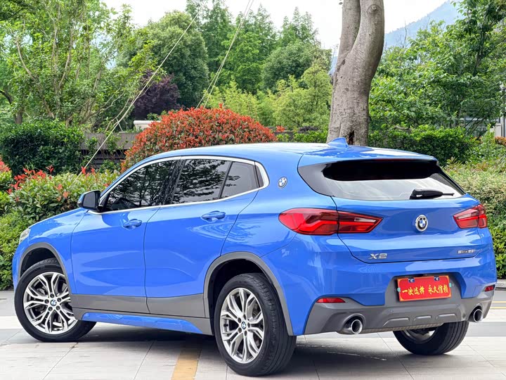 BMW X2 2019 s Drive 25i Luxury M VI — фото 15
