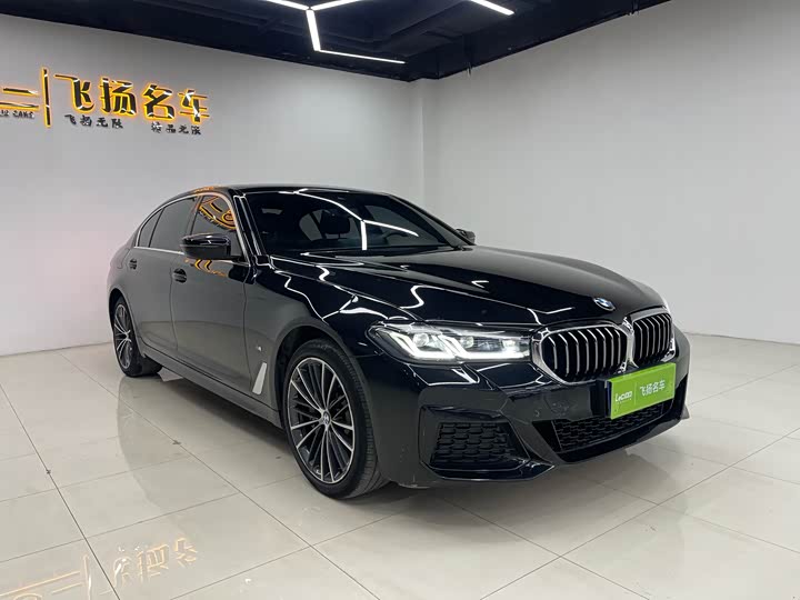 BMW 5-Series 2021 530 Li Leading M — фото 3