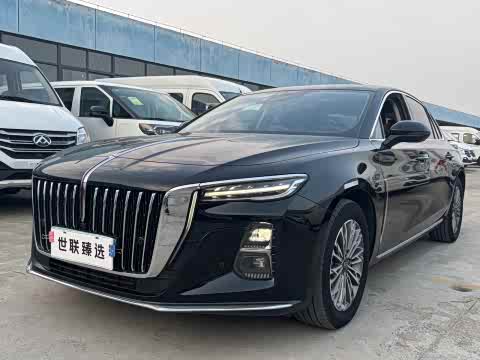 Hongqi H5 2023 1.5 T DCT — фото 16