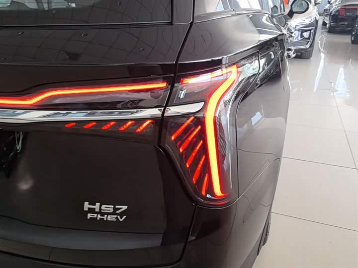 Hongqi HS7 PHEV 2024 2.0 T PHEV 4 WD 6 — фото 8