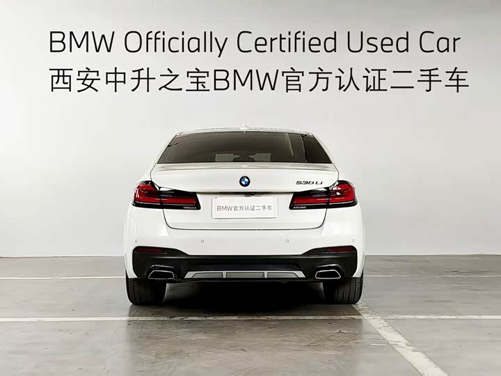 BMW 5-Series 2021 530 Li Leading M — фото 17