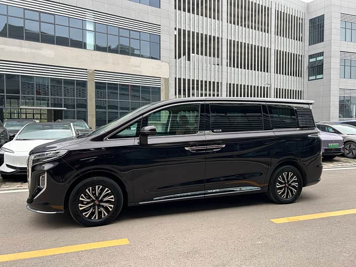 Hongqi HQ9 PHEV 2024 2.0 T 4 WD — фото 4