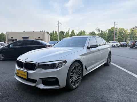BMW 5-Series 2018 530 Li Leading M — фото 8