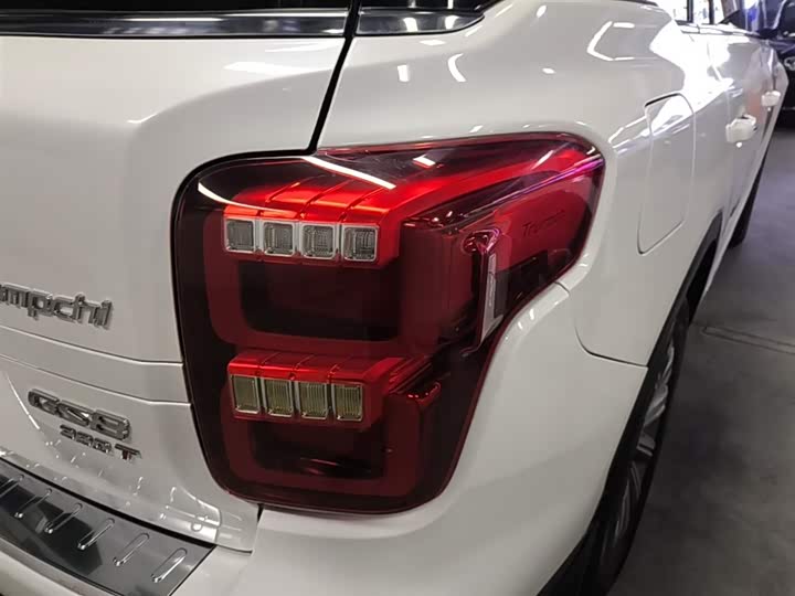 Trumpchi GS8 2020 390 T 2 WD ( ) — фото 8