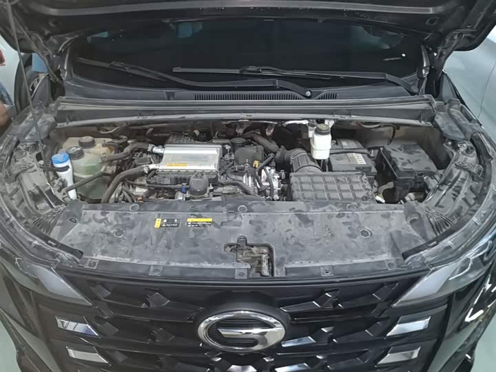 Trumpchi M6 2023 PRO 270 T DCT — фото 20