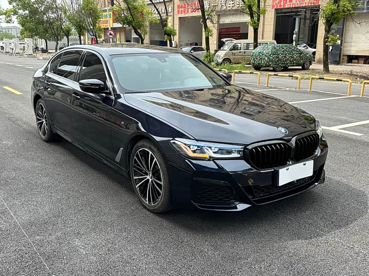 BMW 5-Series 2020 530 Li Leading M — фото 3