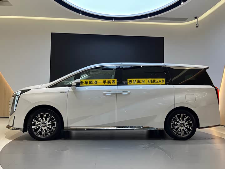Trumpchi E9 2023 E 9 MAX — фото 3