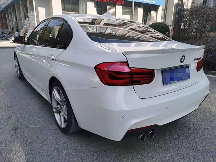 BMW 3-Series 2017 320 Li — фото 16