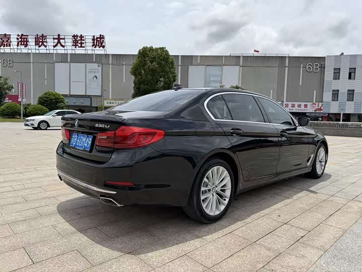 BMW 5-Series 2019 530 Li Leading — фото 7