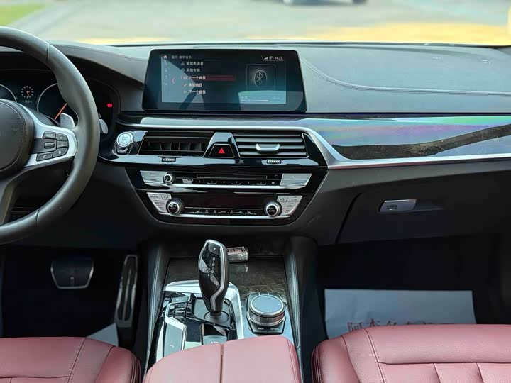 BMW 5-Series 2019 530 Li Leading M — фото 8