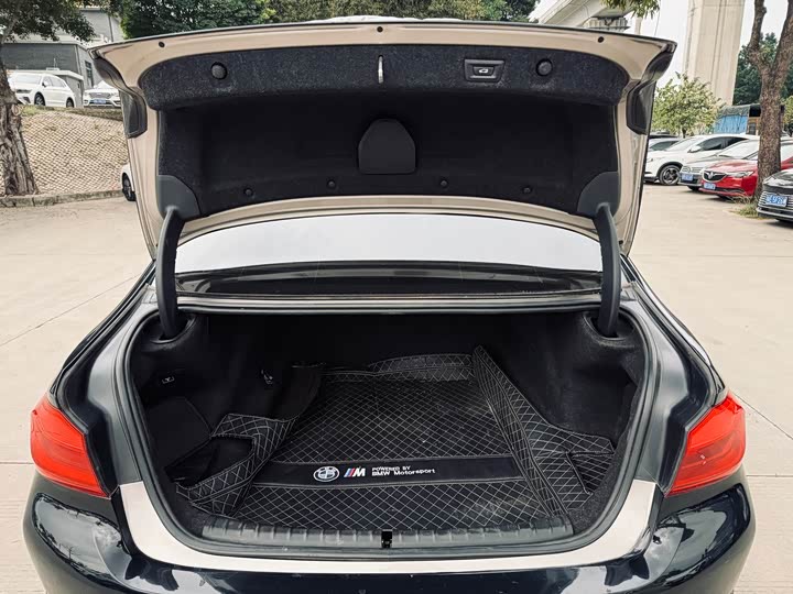 BMW 5-Series 2018 530 Li Leading — фото 8