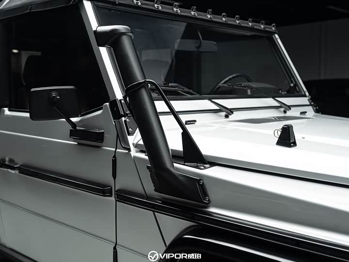 Mercedes-Benz G-Class 2016 G 250 GD — фото 17