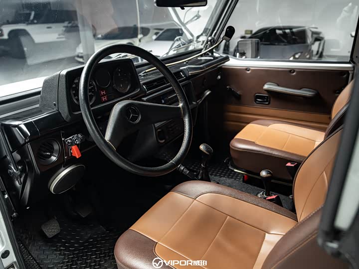 Mercedes-Benz G-Class 2016 G 250 GD — фото 6