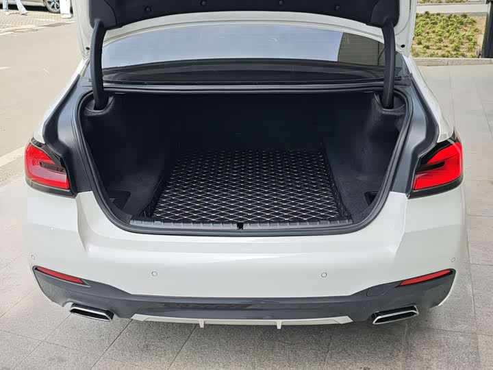 BMW 5-Series 2022 530 Li Leading M — фото 4
