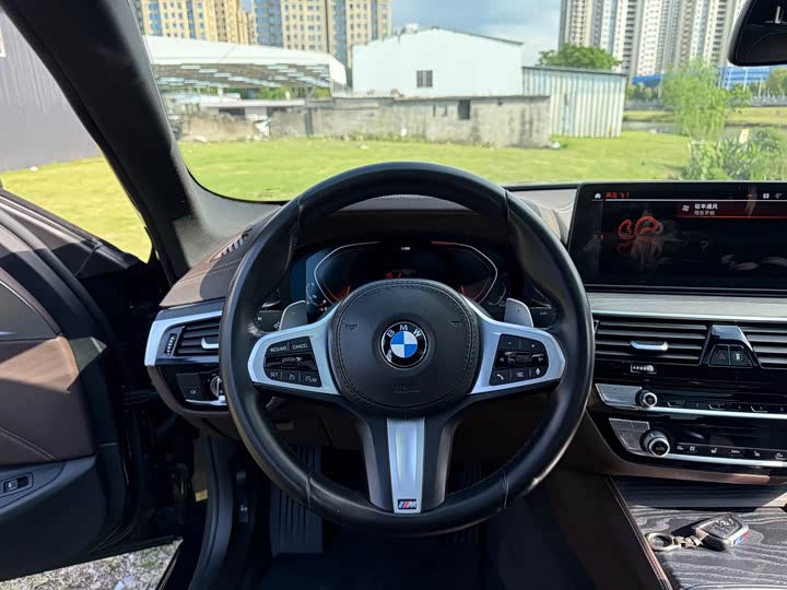 BMW 5-Series 2021 530 Li Leading M — фото 10