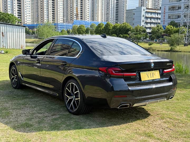 BMW 5-Series 2021 530 Li Leading M — фото 6