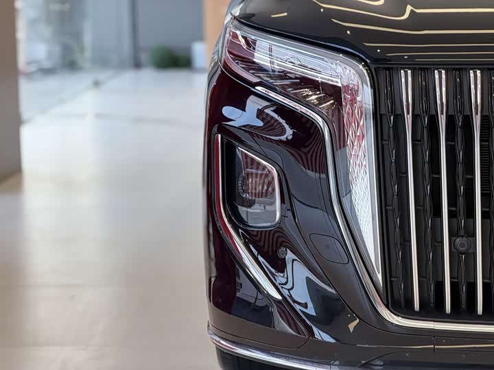 Hongqi HQ9 PHEV 2024 2.0 T 4 WD — фото 7