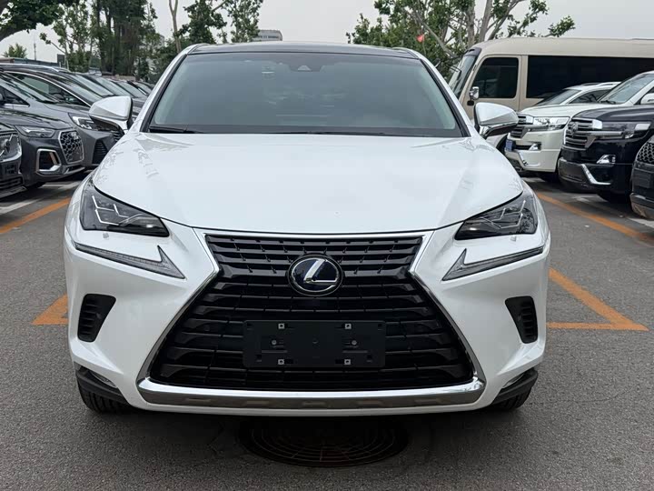 Lexus NX 2018 300h V — фото 2