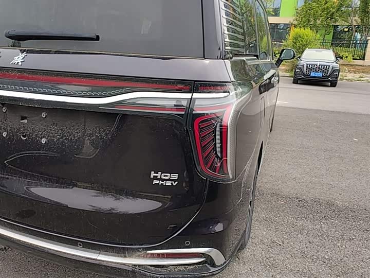 Hongqi HQ9 PHEV 2024 2.0 T 4 WD — фото 8
