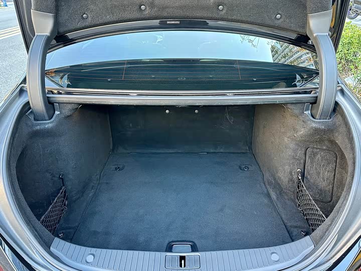 Mercedes-Benz S-Class 2019 S 320 L — фото 15