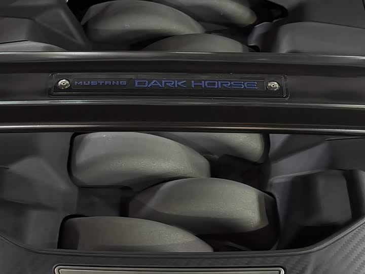 Ford Mustang 2024 5.0 L V 8 Dark Horse — фото 9