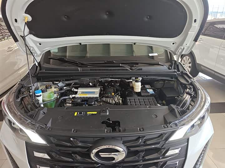 Trumpchi M6 2023 PRO 270 T DCT — фото 20