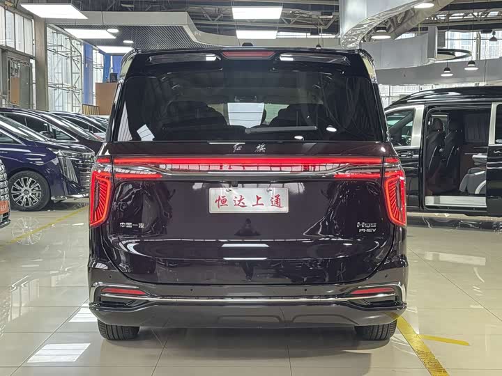 Hongqi HQ9 PHEV 2024 2.0 T 4 WD — фото 18