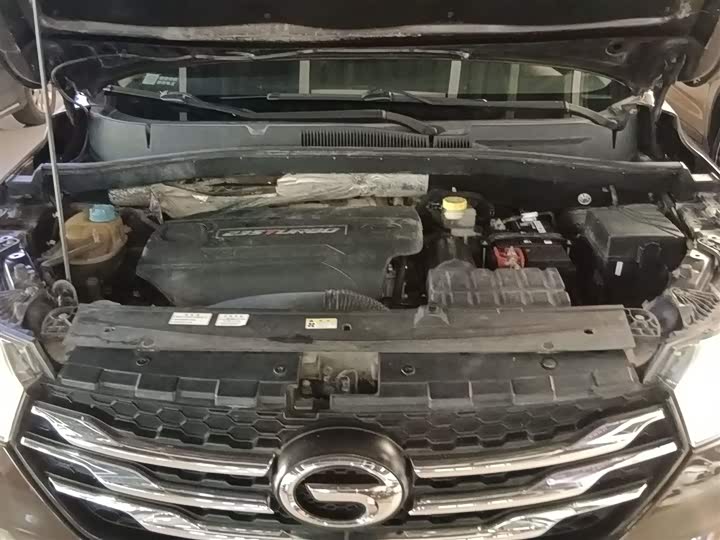 Trumpchi GS4 2016 235 T G-DCT — фото 16