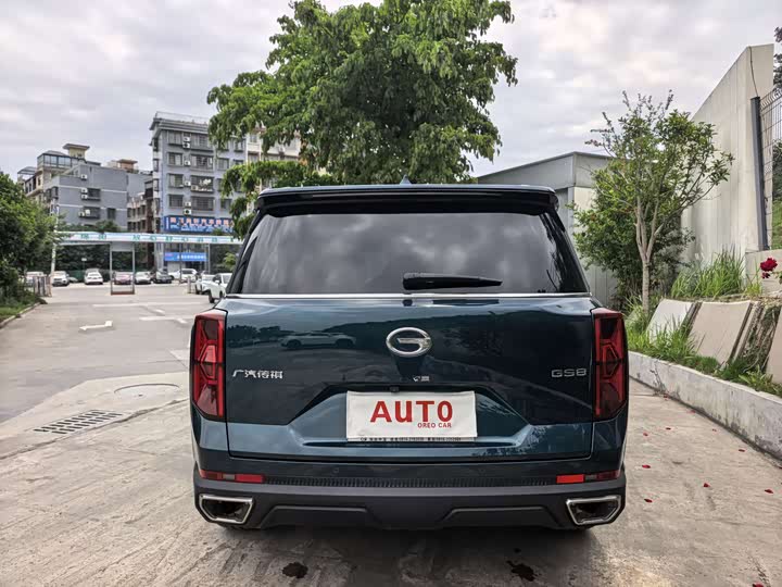 Trumpchi GS8 2022 2.0 TGDI 2 WD ( ) — фото 6