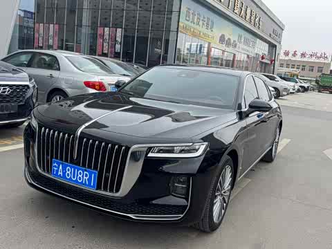 Hongqi H9 2020 2.0 T — фото 17