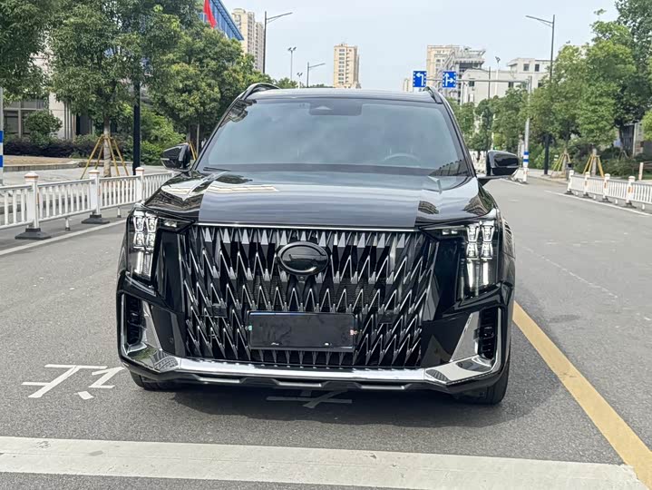 Trumpchi GS8 2022 2.0 TM 2 WD ( ) — фото 2